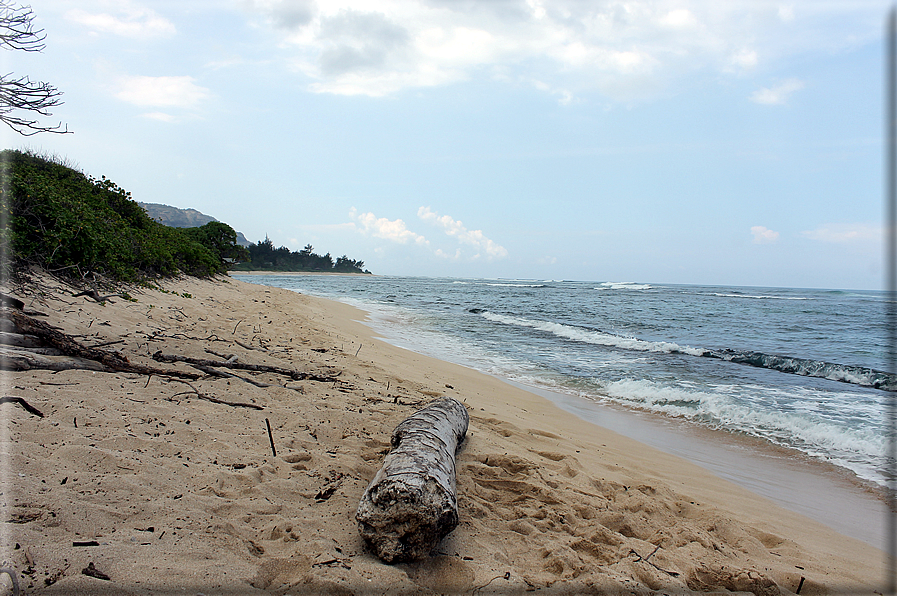 foto Spiagge dell'Isola di Oahu